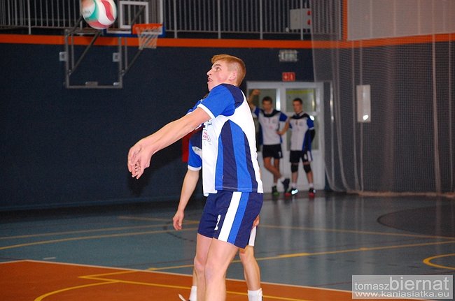 Wilki górą - zdjęcia