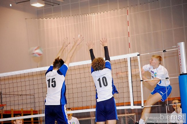 Wilki górą - zdjęcia