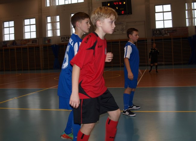 Orliki na hali - zdjęcia