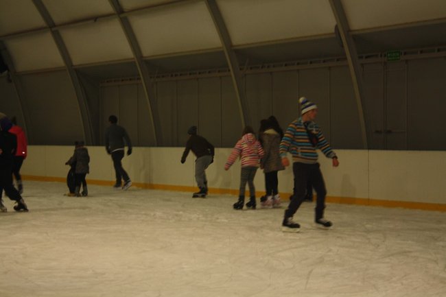 Pingwin i panda na lodowisku - zdjęcia