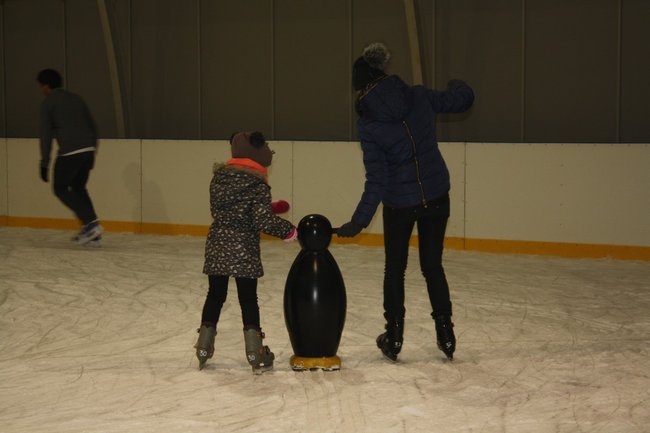 Pingwin i panda na lodowisku - zdjęcia