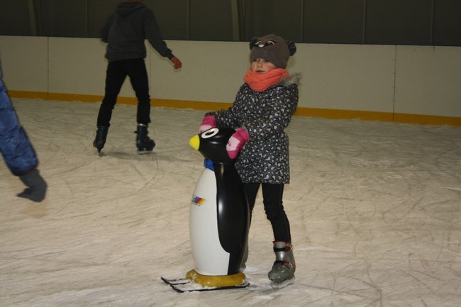 Pingwin i panda na lodowisku - zdjęcia