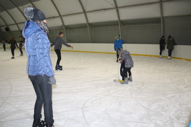 Pingwin i panda na lodowisku - zdjęcia