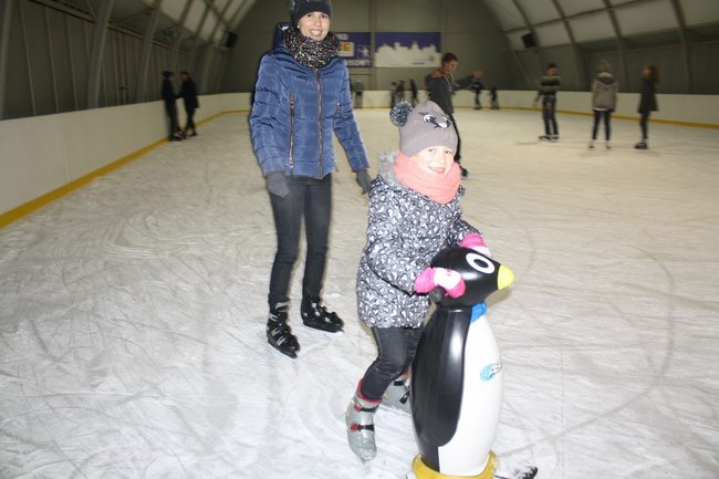 Pingwin i panda na lodowisku - zdjęcia