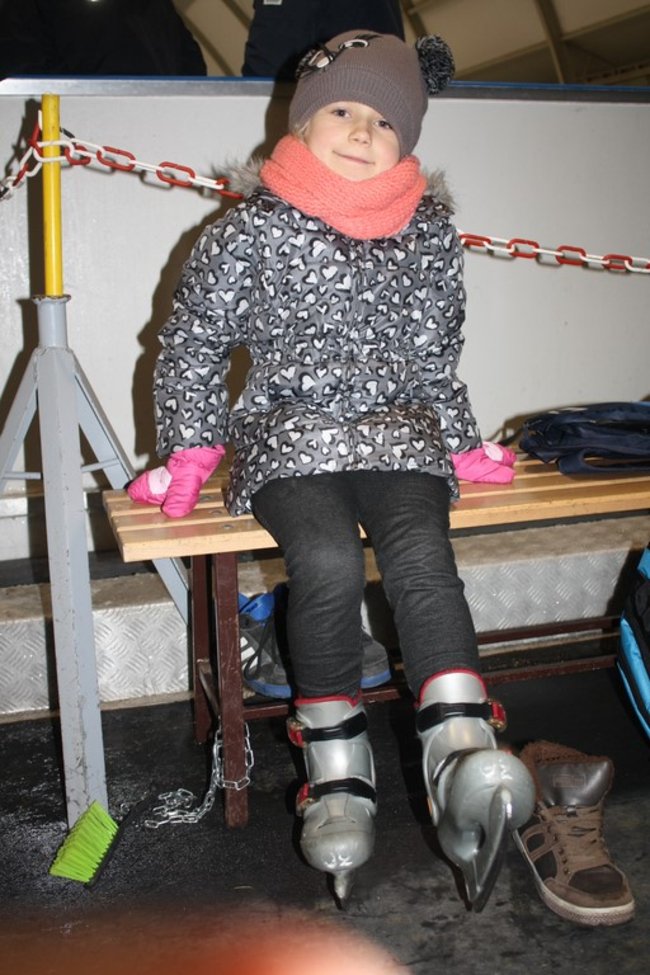 Pingwin i panda na lodowisku - zdjęcia