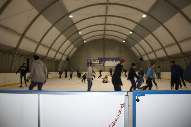 Pingwin i panda na lodowisku - zdjęcia