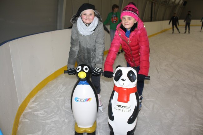 Pingwin i panda na lodowisku - zdjęcia