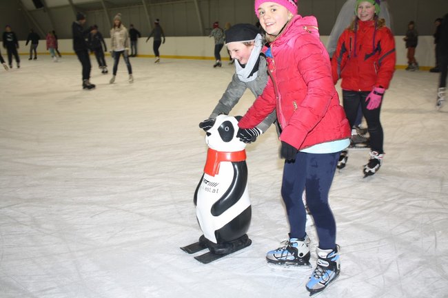 Pingwin i panda na lodowisku - zdjęcia