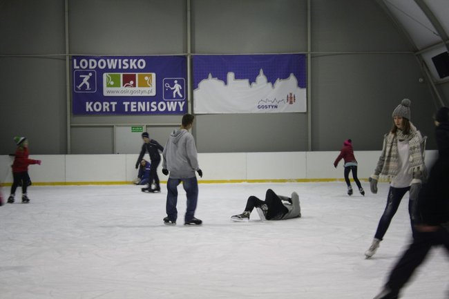 Pingwin i panda na lodowisku - zdjęcia