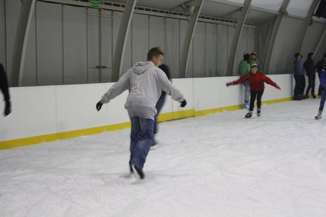 Pingwin i panda na lodowisku - zdjęcia