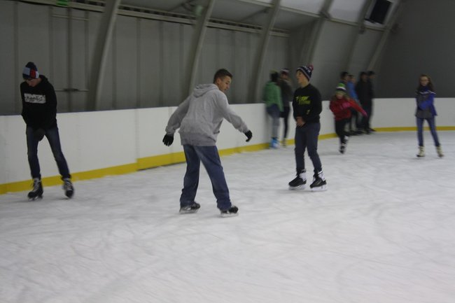 Pingwin i panda na lodowisku - zdjęcia