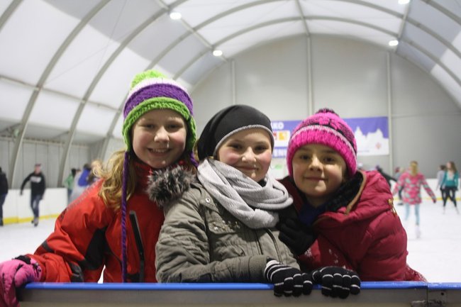 Pingwin i panda na lodowisku - zdjęcia