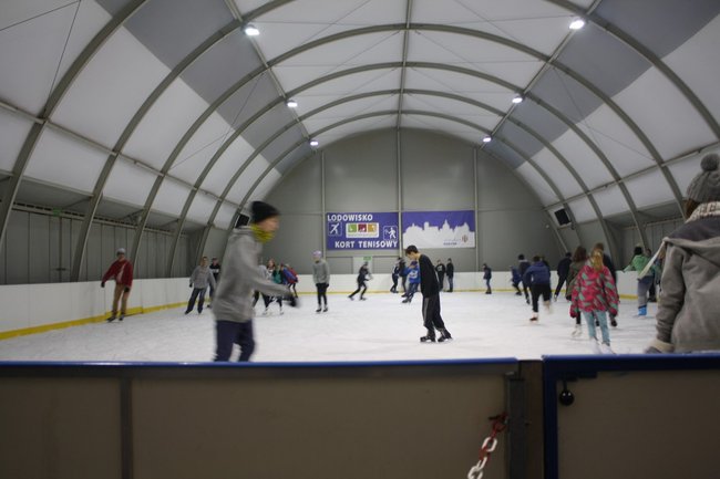 Pingwin i panda na lodowisku - zdjęcia