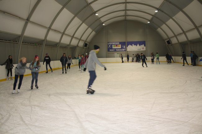 Pingwin i panda na lodowisku - zdjęcia