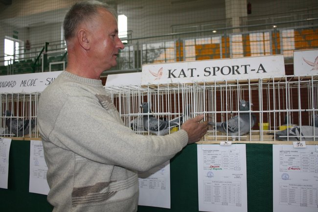 Skrzydlaci zwycięzcy - zdjęcia