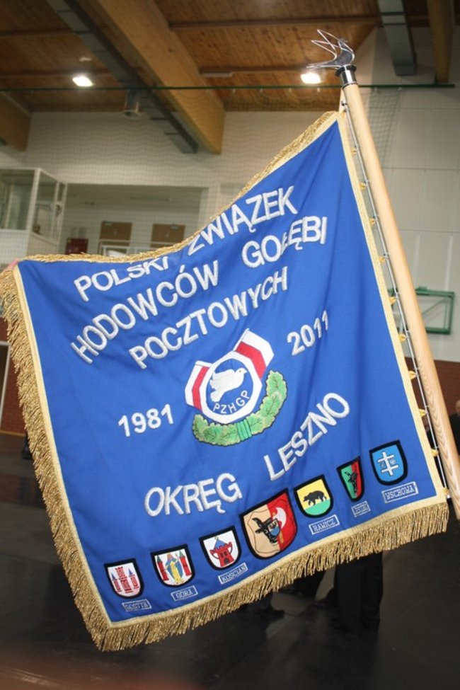 Skrzydlaci zwycięzcy - zdjęcia