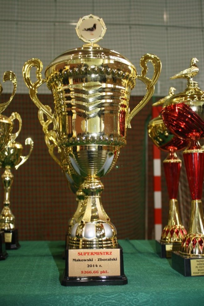 Skrzydlaci zwycięzcy - zdjęcia