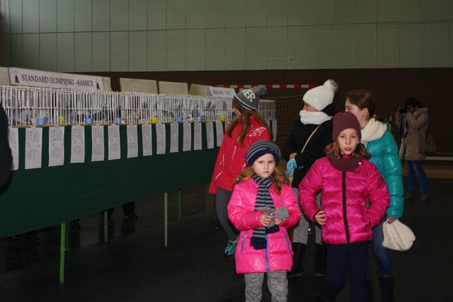 Skrzydlaci zwycięzcy - zdjęcia