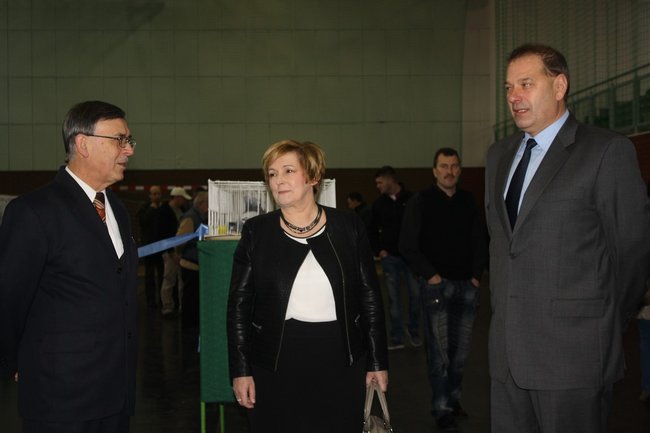 Skrzydlaci zwycięzcy - zdjęcia