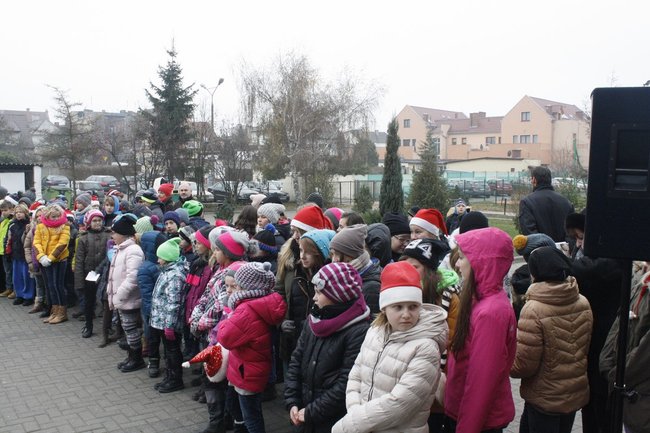 Mikołajkowy tydzień czytania - zdjęcia