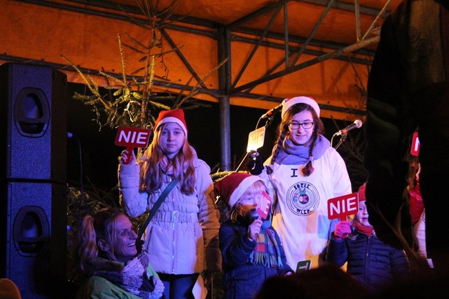 Rzeźbili... w lodzie - zdjęcia