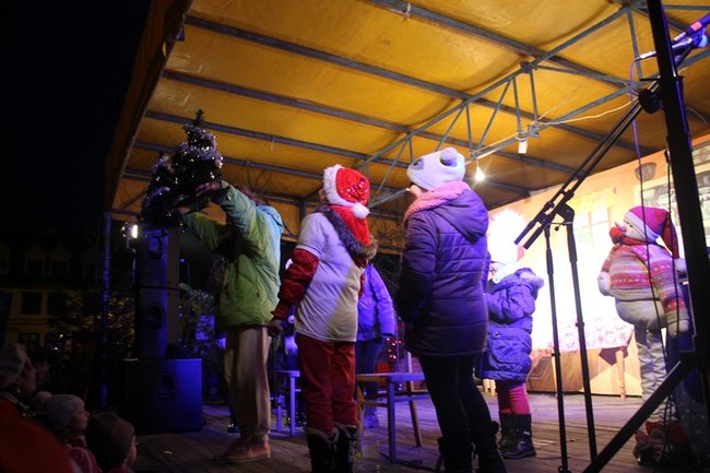 Rzeźbili... w lodzie - zdjęcia