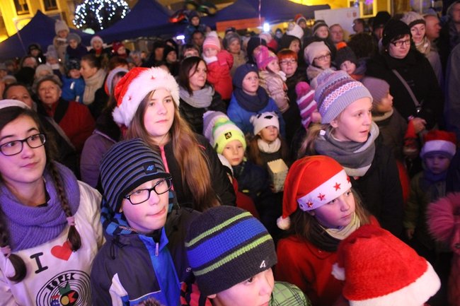 Rzeźbili... w lodzie - zdjęcia