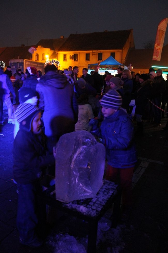 Rzeźbili... w lodzie - zdjęcia