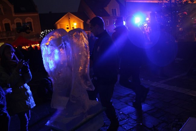 Rzeźbili... w lodzie - zdjęcia