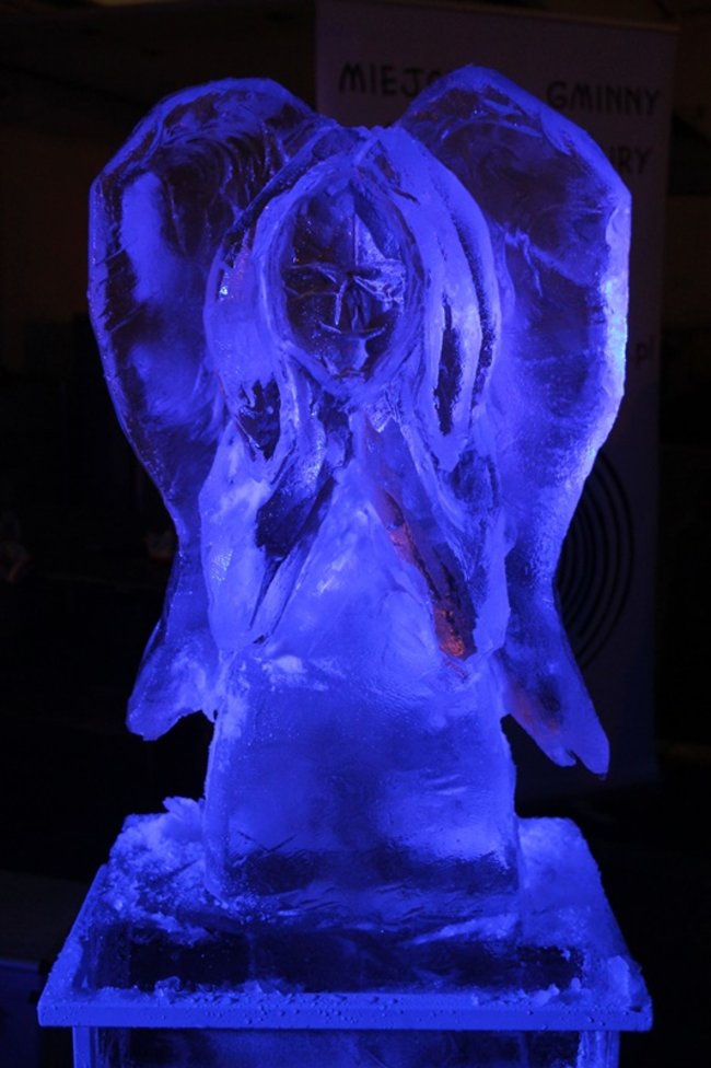 Rzeźbili... w lodzie - zdjęcia