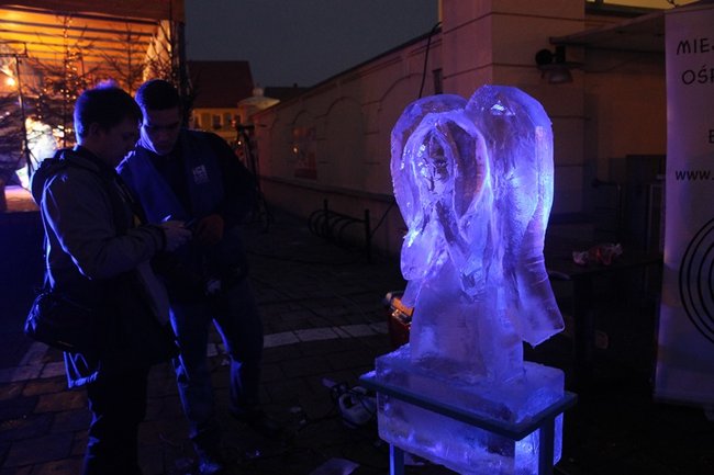 Rzeźbili... w lodzie - zdjęcia