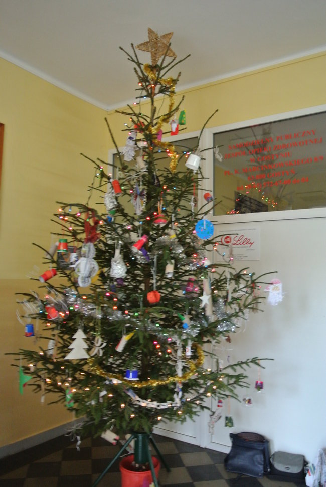 Choinka dla szpitala - zdjęcia