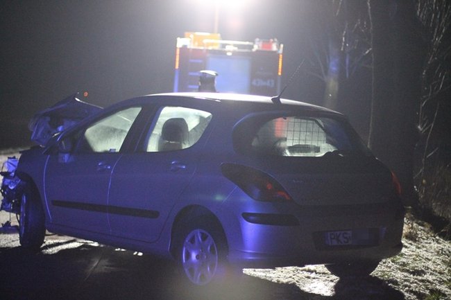 Samochód uderzył w drzewo - zdjęcia