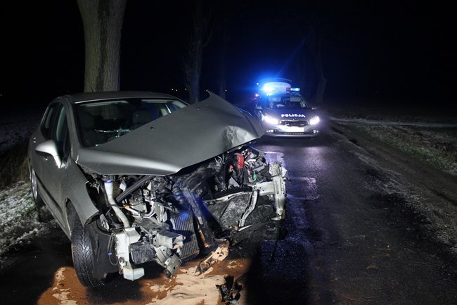Samochód uderzył w drzewo - zdjęcia