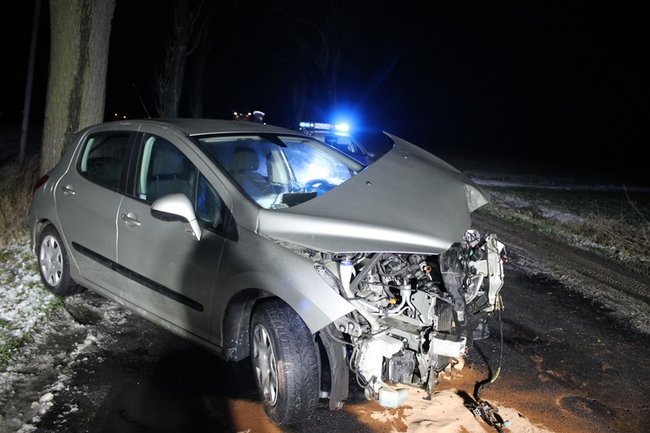 Samochód uderzył w drzewo - zdjęcia