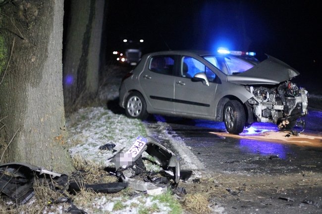 Samochód uderzył w drzewo - zdjęcia