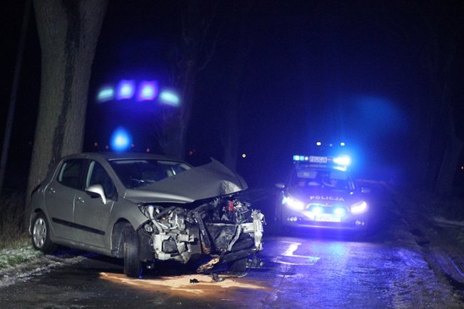 Samochód uderzył w drzewo - zdjęcia