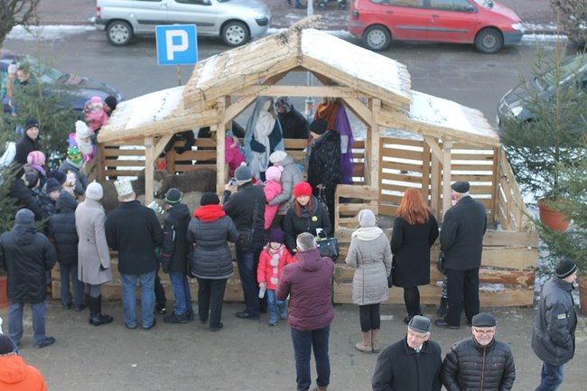 Królowali na rynku - zdjęcia