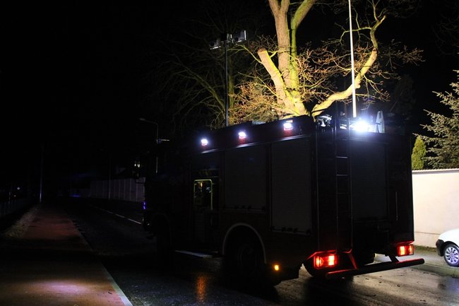 Wichura łamała drzewa - zdjęcia