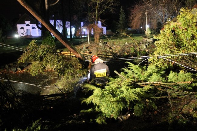 Wichura łamała drzewa - zdjęcia