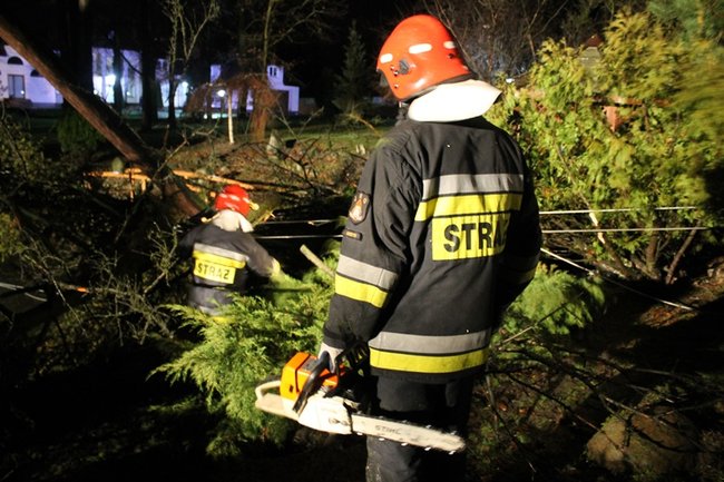 Wichura łamała drzewa - zdjęcia
