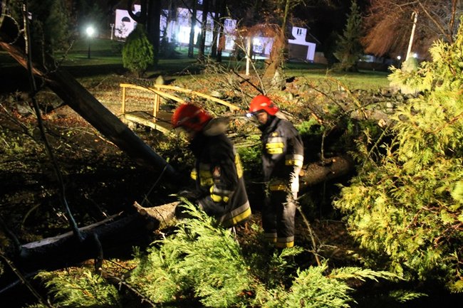 Wichura łamała drzewa - zdjęcia