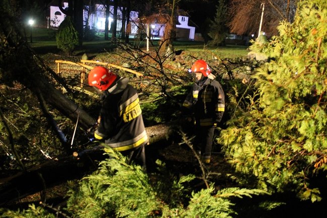 Wichura łamała drzewa - zdjęcia