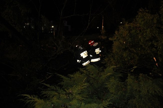 Wichura łamała drzewa - zdjęcia