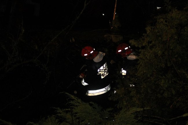 Wichura łamała drzewa - zdjęcia