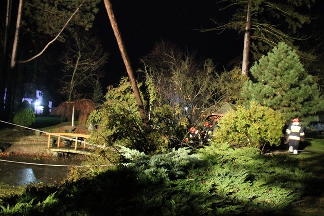 Wichura łamała drzewa - zdjęcia