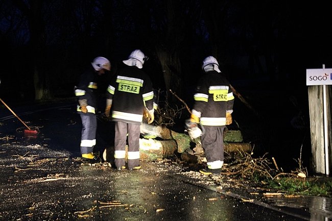 Wichura łamała drzewa - zdjęcia