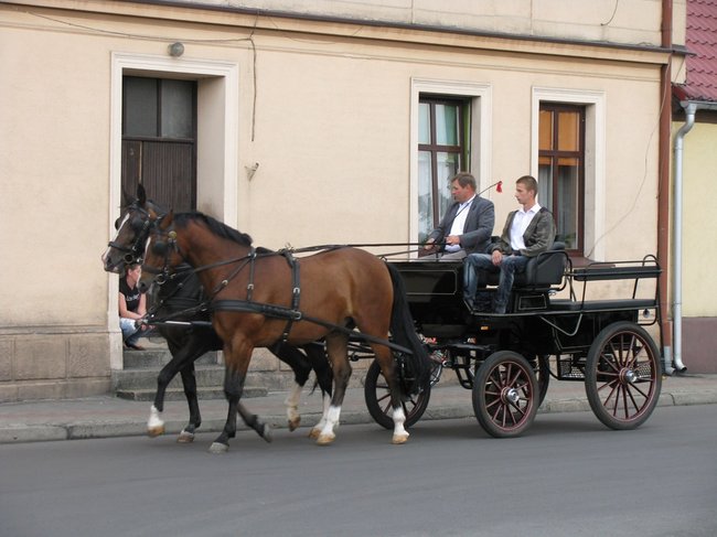 Bracia świętowali z hukiem - zdjęcia
