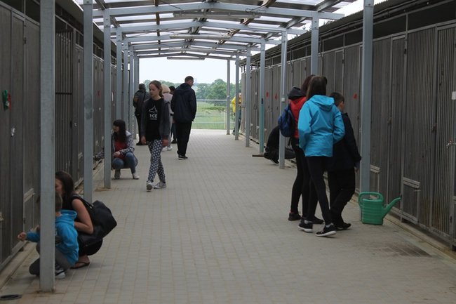 Coraz więcej adopcji - zdjęcia