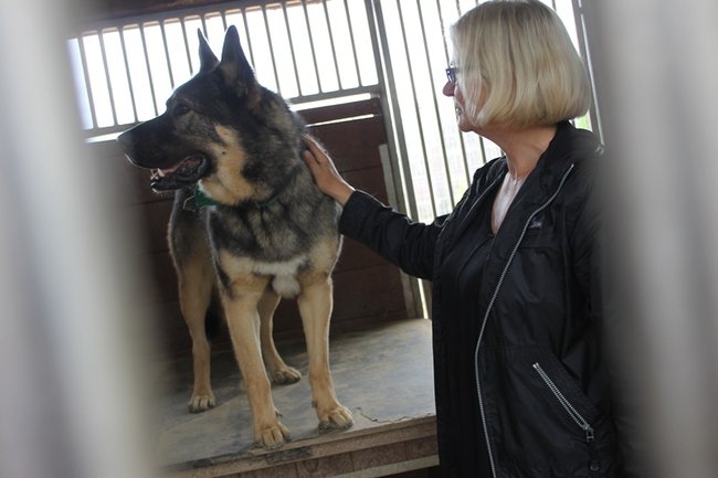 Coraz więcej adopcji - zdjęcia